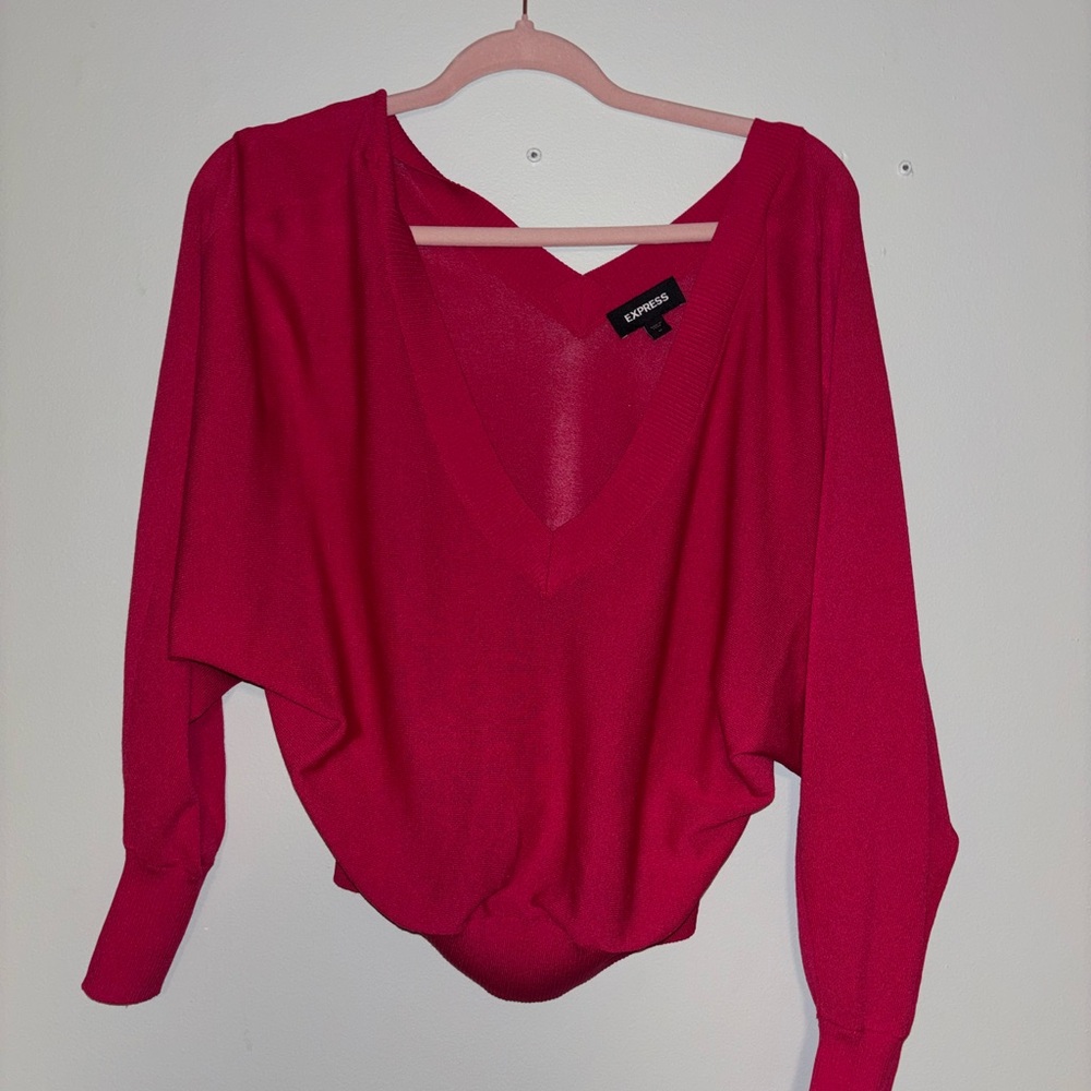 Express Fuchsia V-Neck Sweater